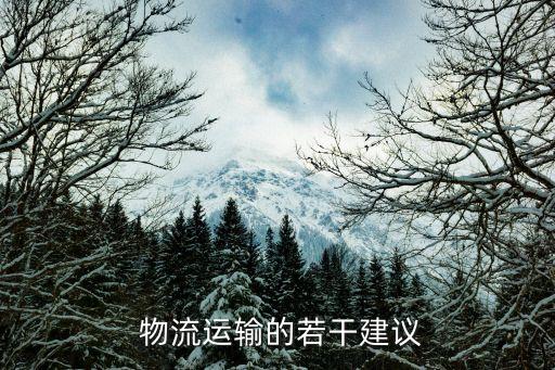  物流运输的若干建议