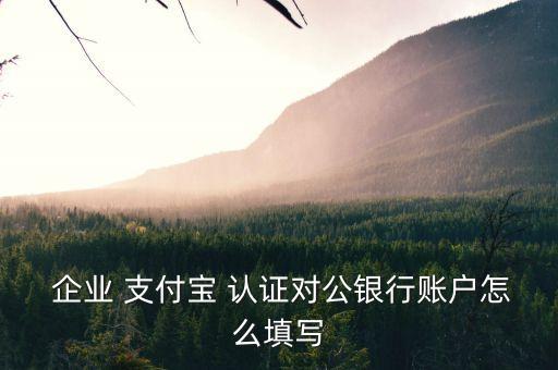  企业 支付宝 认证对公银行账户怎么填写