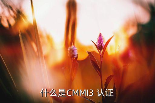 什么是CMMI3 认证