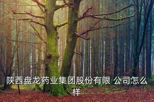 陕西盘龙药业集团股份有限 公司怎么样