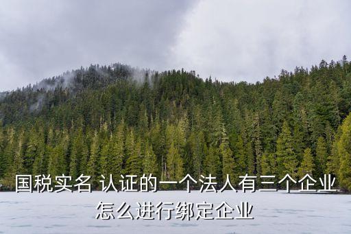 国税实名 认证的一个法人有三个企业怎么进行绑定企业
