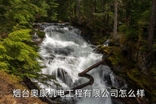 烟台奥康机电工程有限公司怎么样