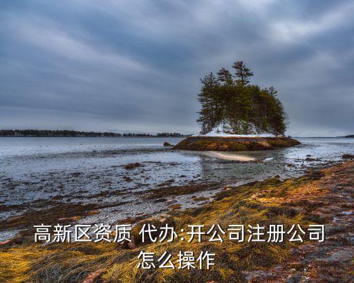  高新区资质 代办:开公司注册公司怎么操作