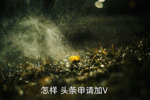 怎样 头条申请加V