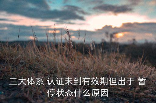 三大体系 认证未到有效期但出于 暂停状态什么原因