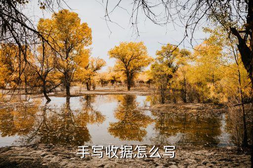 手写收据怎么写