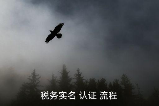 税务实名 认证 流程