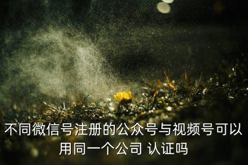 免费做企业认证,企业做iso9001认证