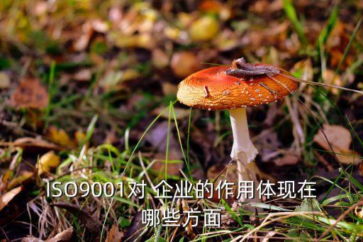 ISO9001对 企业的作用体现在哪些方面
