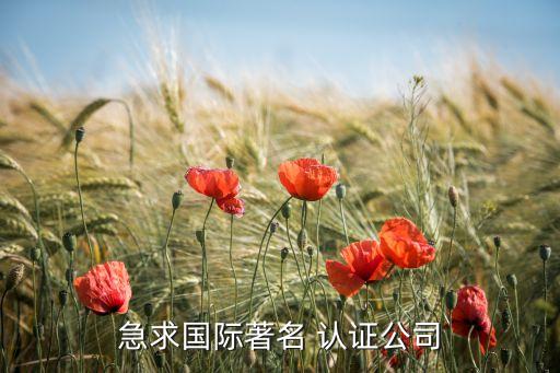 急求国际著名 认证公司