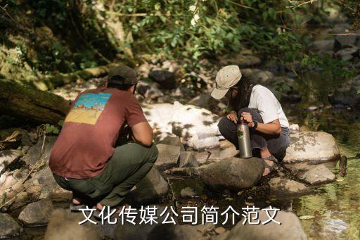 文化传媒公司简介范文