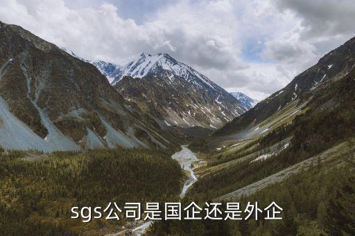 sgs公司是国企还是外企