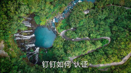 企业认证有免费的吗,哪些平台企业认证免费