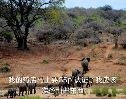 我的药店马上要GSp 认证了我应该准备那些东西