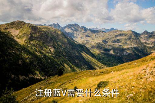 蓝v企业认证加盟,蓝V企业认证后怎么取消
