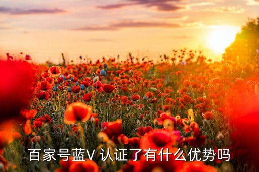 百家号蓝V 认证了有什么优势吗