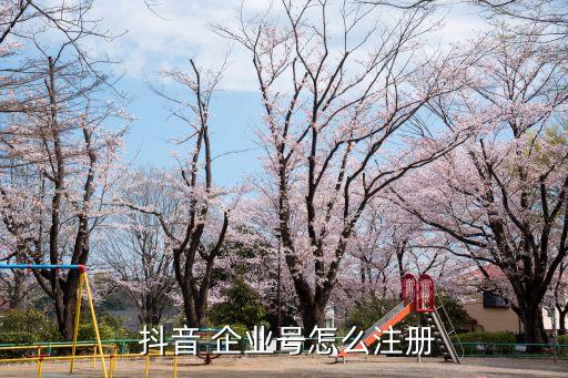  抖音 企业号怎么注册
