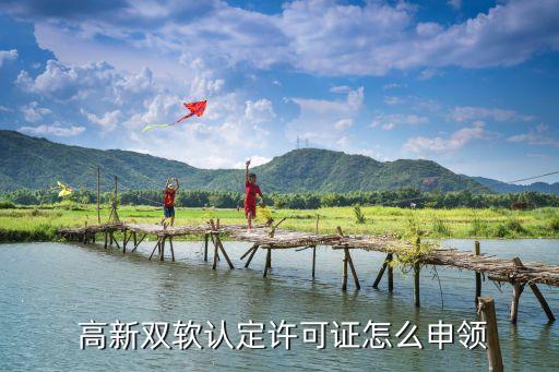  高新双软认定许可证怎么申领
