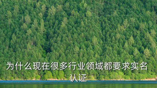 为什么现在很多行业领域都要求实名 认证