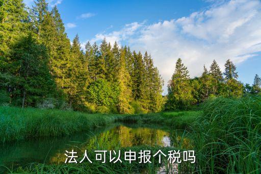 法人可以申报个税吗