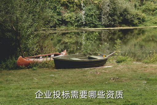  企业投标需要哪些资质
