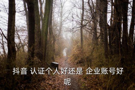  抖音 认证个人好还是 企业账号好呢
