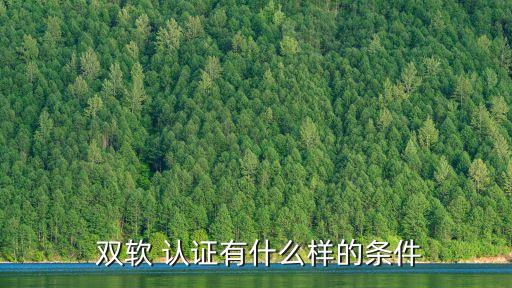  双软 认证有什么样的条件