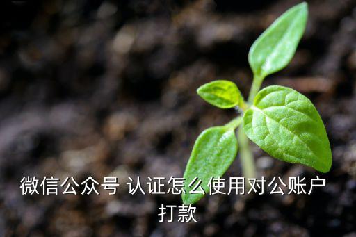 微信公众号 认证怎么使用对公账户 打款
