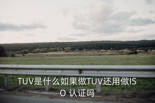 tuv认证的企业查询