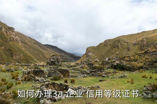 企业信用评估认证,中国企业信用评估中心是什么机构