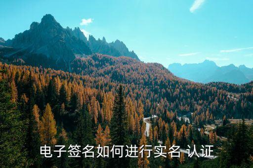 电子签名如何进行实名 认证
