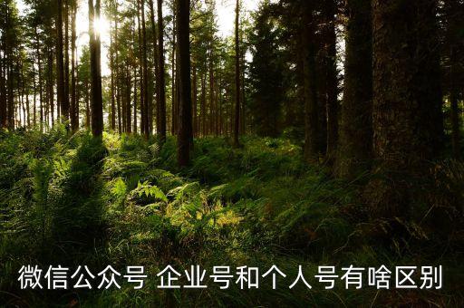 开通企业号和企业认证区别,企业号跟蓝v认证有什么区别