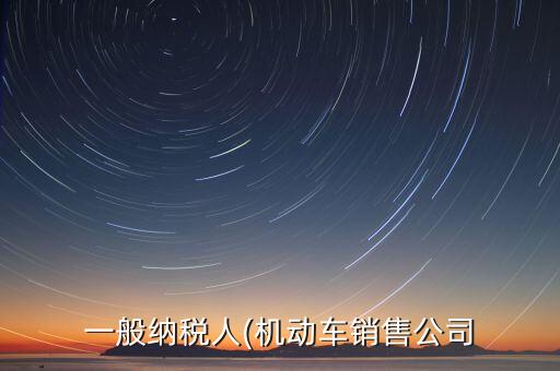 一般纳税人(机动车销售公司