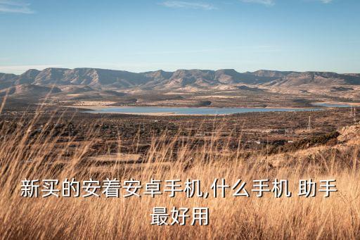 新买的安着安卓手机,什么手机 助手最好用