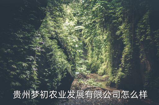  贵州梦初农业发展有限公司怎么样