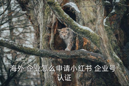 海外 企业怎么申请小红书 企业号 认证