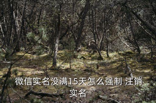  微信实名没满15天怎么强制 注销实名