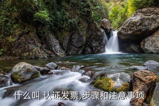 什么叫 认证发票,步骤和注意事项