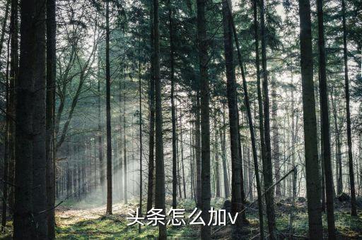 头条企业认证通过没有v,今日头条企业认证需要什么资料