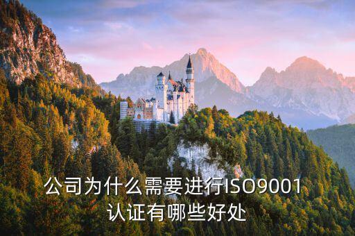 公司为什么需要进行ISO9001 认证有哪些好处