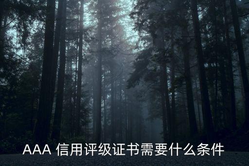 AAA 信用评级证书需要什么条件