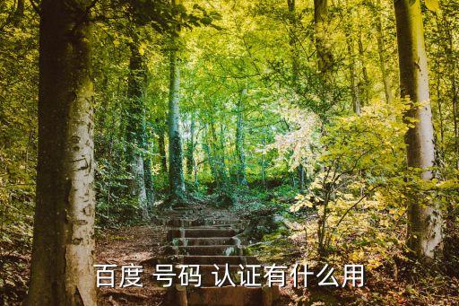 免费企业号码认证网站,如何申请小红书企业号认证?