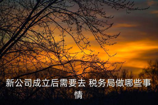 新公司成立后需要去 税务局做哪些事情