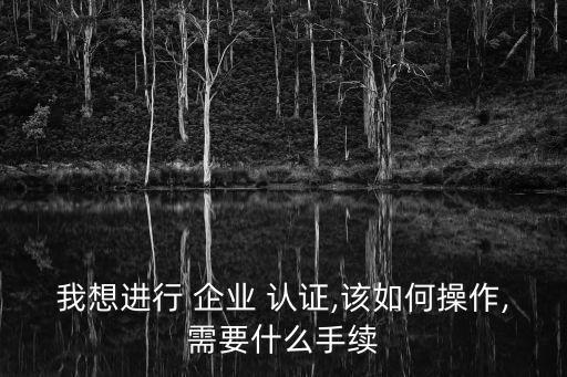 我想进行 企业 认证,该如何操作,需要什么手续