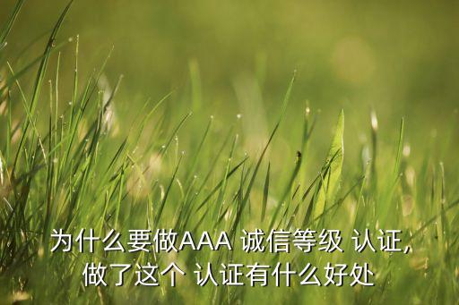 诚信 企业 认证,水滴信用企业认证怎么申请?