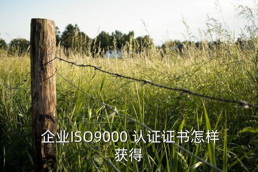  企业ISO9000 认证证书怎样获得