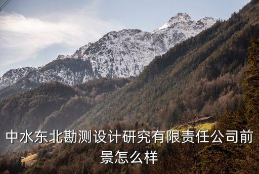 中水东北勘测设计研究有限责任公司前景怎么样