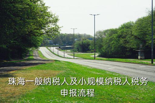  珠海一般纳税人及小规模纳税人税务申报流程