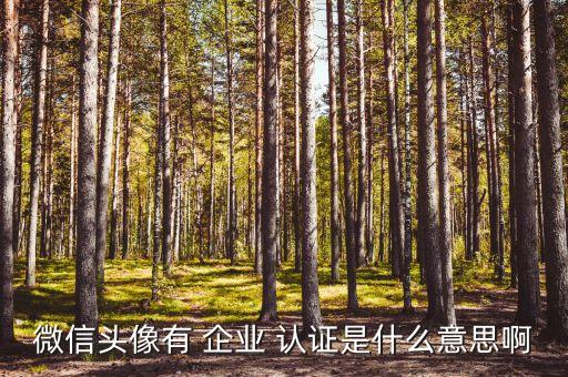 微信头像有 企业 认证是什么意思啊