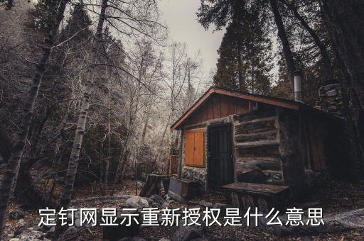 定钉网显示重新授权是什么意思